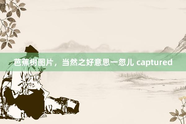 芭蕉树图片，当然之好意思一忽儿 captured